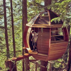 cabin-escapes-pod_ph