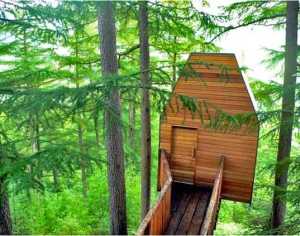 small-treehouse-art-studio