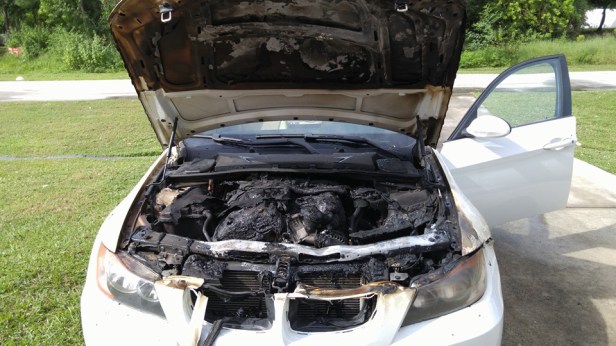 12112382_10153706209164485_2073918053363504878_n