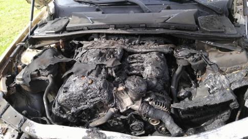 12115957_10153706209264485_979276803629309576_n